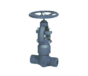 Forged steel vertical lift check valve
